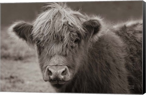 Framed Highland Cow Do Neutral Print