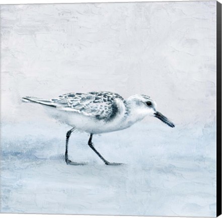 Framed Sandpiper 1 Print