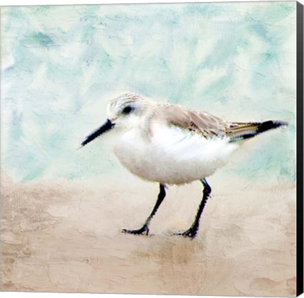 Framed Sandpiper Walk 2 Print