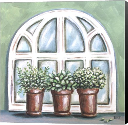 Framed Window Planter II Print