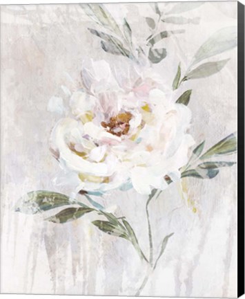 Framed Abstract Peony II Print