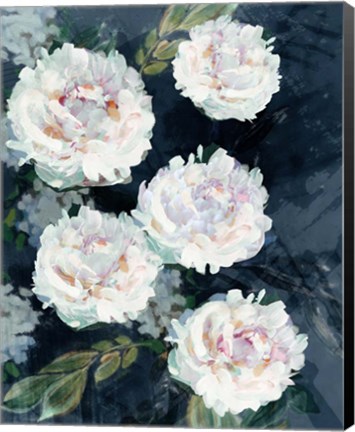 Framed Peony Melody IV Print