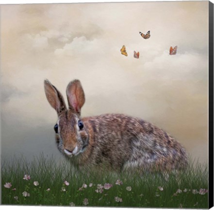 Framed Spring Softie Print