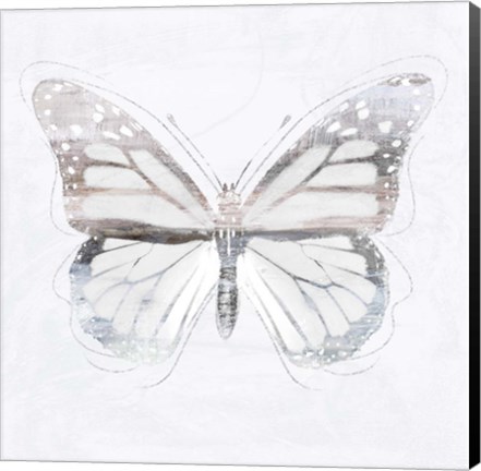 Framed Silver Butterfly II Print