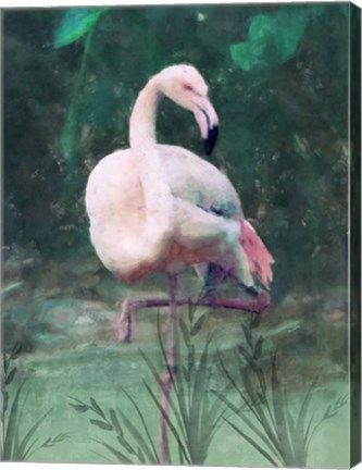 Framed Peach Flamingo II Print