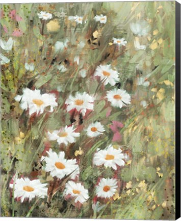 Framed Daisy Field II Print