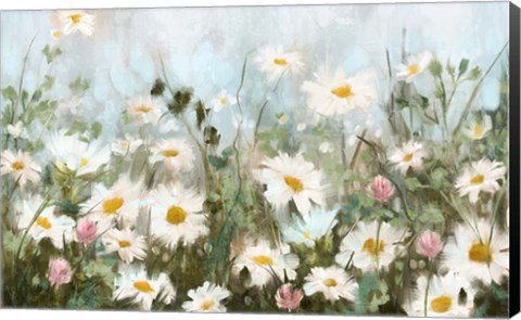 Framed Field of Daisies Print