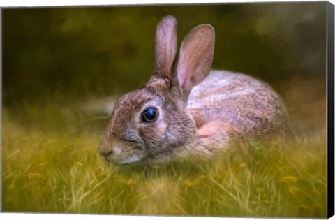 Framed Grassy Bed Print