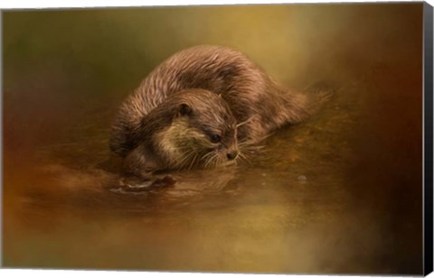 Framed Otter Curiosity Print