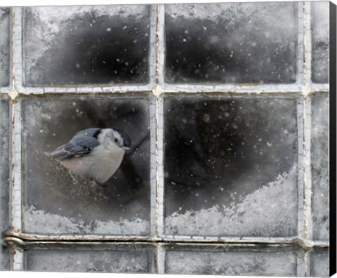 Framed Frosty Print