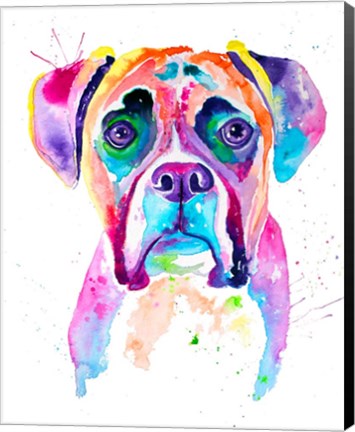 Framed Colorful Boxer Print