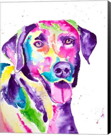 Framed Colorful Black Lab Print