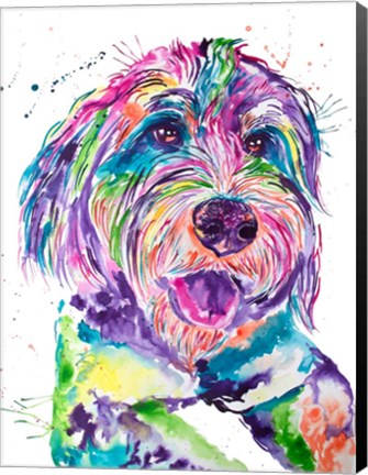 Framed Colorful Bernedoodle Print