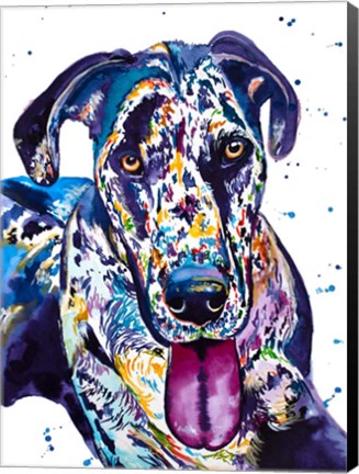 Framed Colorful Great Dane Print