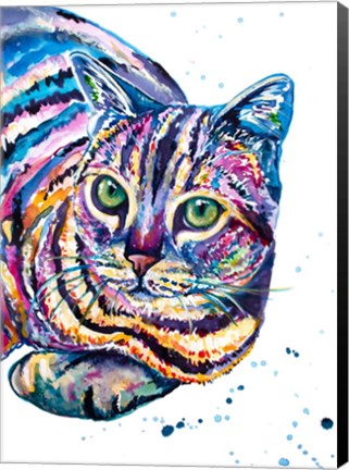 Framed Colorful Tabby Cat Print