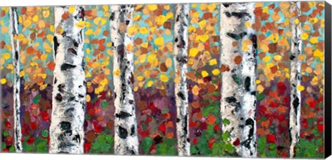 Framed Aspens in Color Print