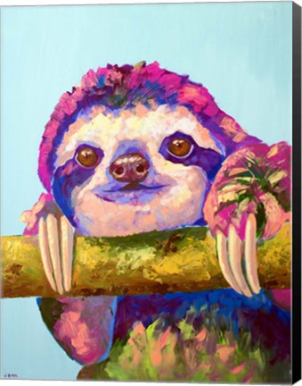 Framed Sloth Print