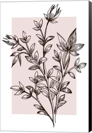 Framed Botanical Branch Print