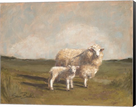 Framed Sheep in the Pasture II Print