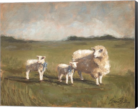 Framed Sheep in the Pasture III Print