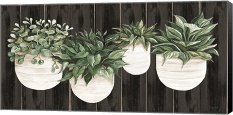 Framed Potted Plants on Barnwood Print