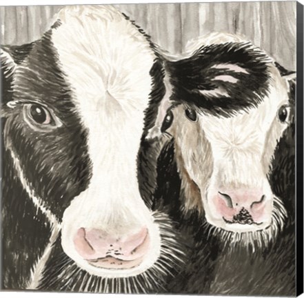 Framed Farm Cows Print