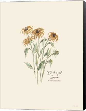 Framed Black Eyed Susan Print