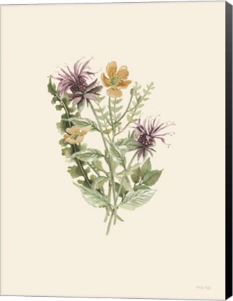 Framed Botanical Mix III Print