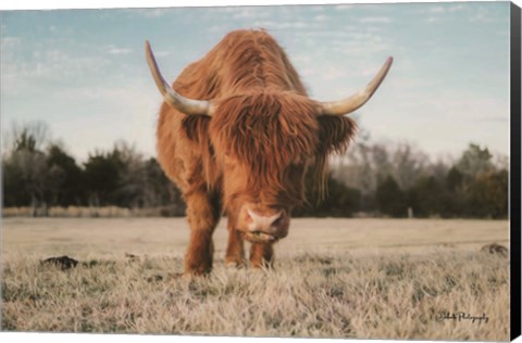 Framed Cow Portrait Print