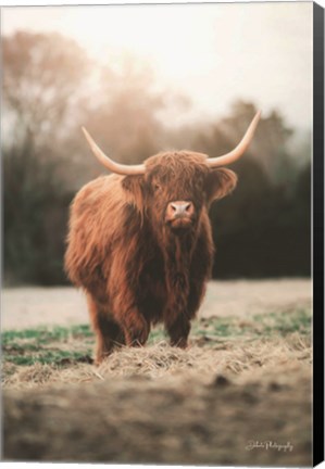 Framed Portrait of a Cow Print