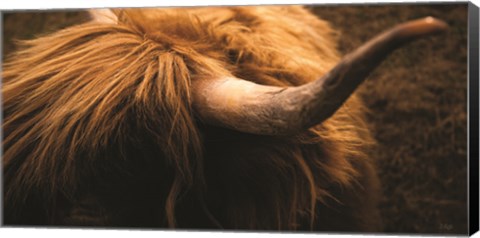 Framed Highland Horn III Print