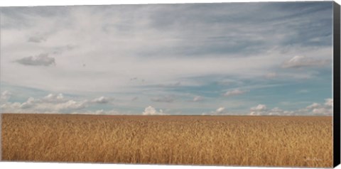 Framed Golden Summer Field Print