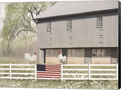 Framed Patriotic Roosters Print
