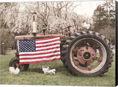 Framed Country Pride Print