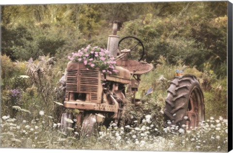 Framed Country Garden Tractor Print