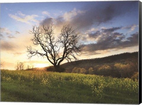 Framed Clark Valley Sunset Print