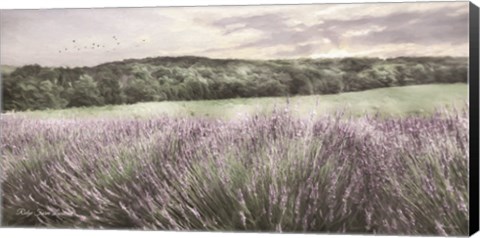 Framed Ridge Farm Lavender Print