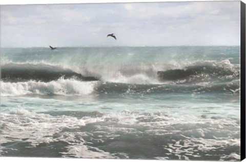 Framed Sea Birds Among the Waves Print