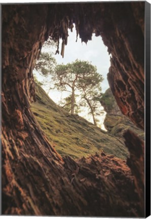 Framed View Through a Tree Print