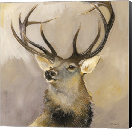 Framed Elk Study 1 Print