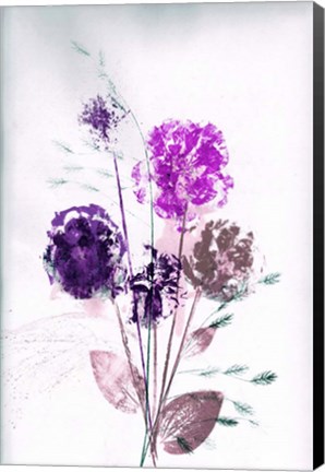 Framed Bouquet Violet Print