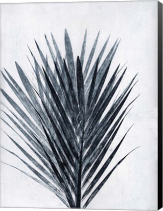 Framed Palm 2 Grey Print