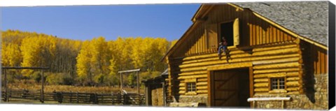 Framed Cowboy sitting on a window of a log cabin, Colorado Print