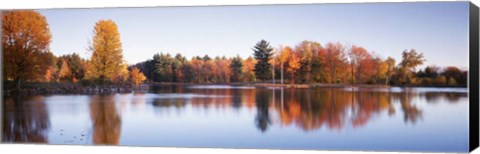 Framed Trees in autumn along a lake, Canterbury Print