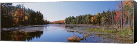 Framed Autumn trees along a lake, Catskill Mountains Print