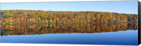 Framed Trees along a lake, Lake Hamilton, Massachusetts Print