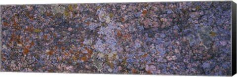 Framed Feldspar granite, Sherman Mountains, Wyoming Print
