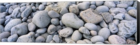 Framed Beach Rocks Acadia National Park Print