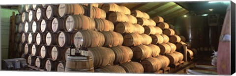 Framed Napa Wine Country Stag&#39;s LeapWine Cellars Barrel Room Print