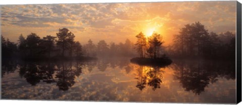 Framed Knuthojdmossen Nature Reserve Sweden Print